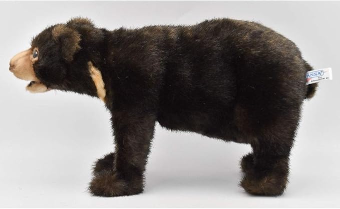webkinz sun bear