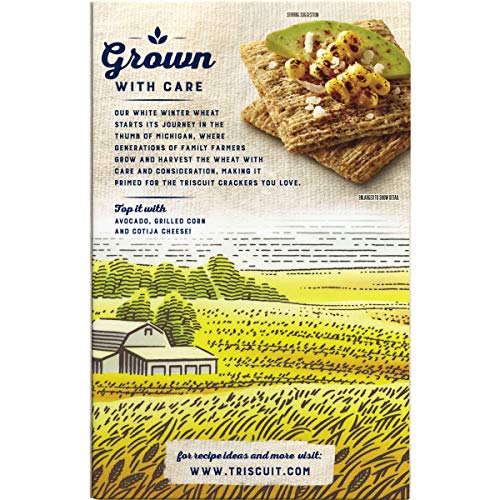 "Triscuit Fire Roasted Tomato & Olive Oil Crackers" - Image 2