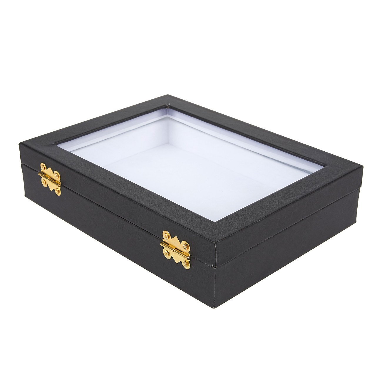 Insect Display Case – Bug Display Box with Glass Window – Oddity Lane