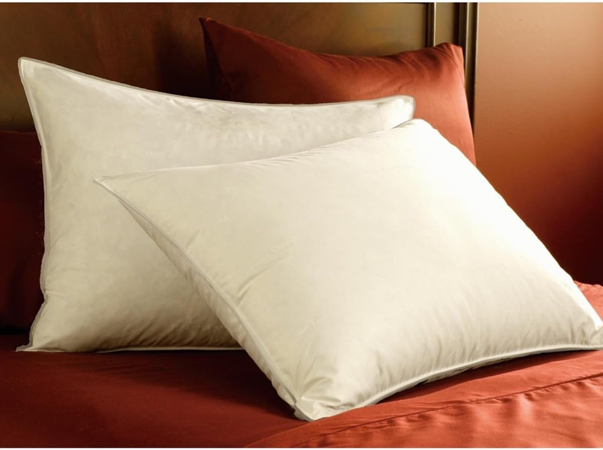 Amazon Com Pacific Coast Double Down Surround Pillow Set 2