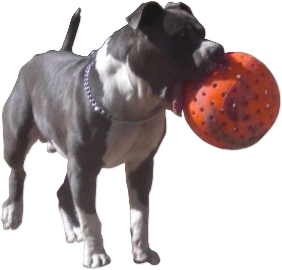 indestructible dog ball orange