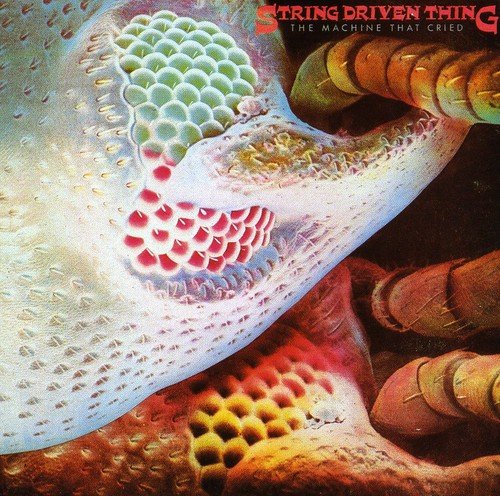 The Machine That Cried