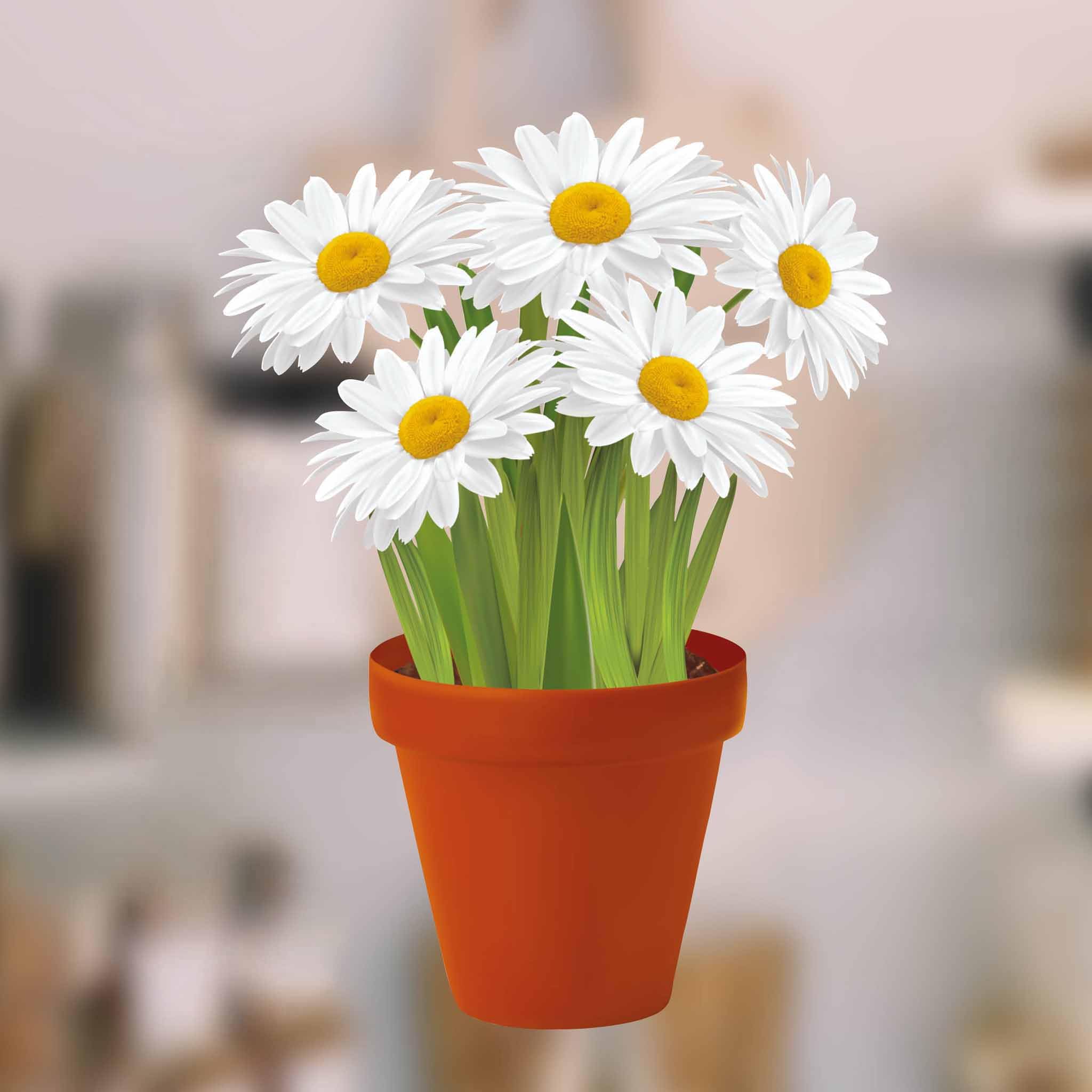 Stickers4 - Daisies in a Pot Flower Window Sticker - Static Cling Windows Decoration or Garden Decor for Greenhouse Now with Butterfly Window clings