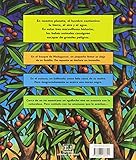 Image de Bebes animales en peligro / Baby Animals in Danger (Spanish Edition)