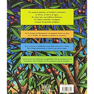 Bebes animales en peligro / Baby Animals in Danger (Spanish Edition)