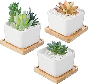 Set of 3 White Ceramic Succulent Cactus Planter Pots with Bamboo Tray for Succulent/Cactus ,3.54 inch Square Design(Plants NOT Included)