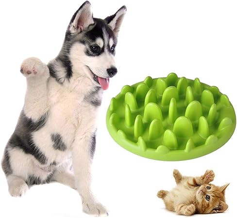 amazon dog puzzle feeder