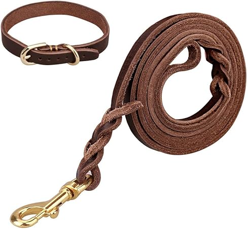 amazon leather leash