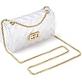 MOETYANG Semi Clear Purse for women,Jelly Purse, Clutch Crossbody Shoulder Bag Fashion Design