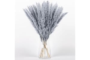 Silvery Grey Pampas Grass Bouquet 30PCS XMFAYUAN,Reed Grass,Dried Flowers,Colorful Pampas Grass Dried Plant for Home Decor and Gifting