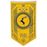 House Baratheon Classic Flags banner 30x50inch 150D