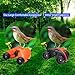 Aurosports Kids Binoculars Auto Focus, Gifts for 4-8 Year old Girls Boys,5-13 Year Old Top Boys Girls Toys for Kids Teen Children Birthday Gifts Orange