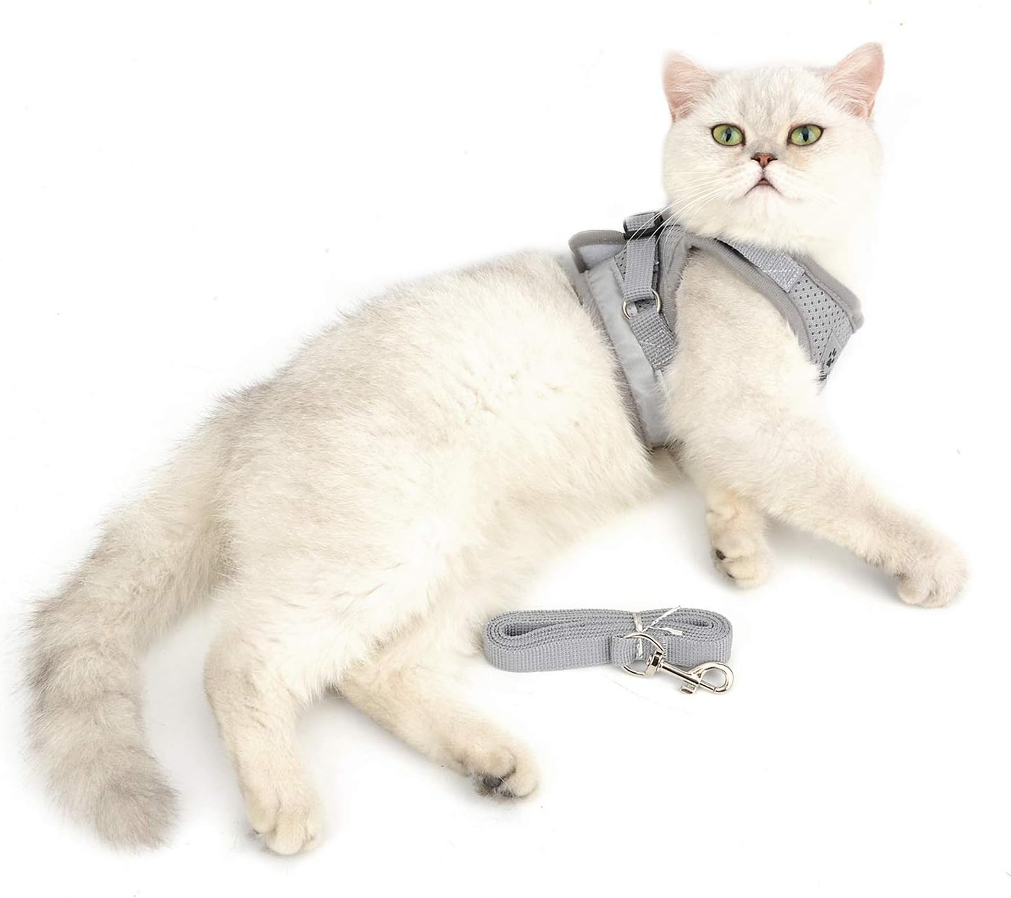SMALLLEE_LUCKY_STORE Soft Mesh Refective Cat Harness and Lead Set Escape Proof Adjustable No Pull Choke Safe Walking Jacket for Small Dogs Puppy Kitten,Grey Small - Image 5