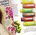 Hurraw! Cinnamon Tinted Lip Balm: Organic, Certified Vegan, Certified Cruelty Free, Non-GMO, Gluten Free, All Natural – Luxury Lip Balm Made in the USA – CINNAMON TINTED