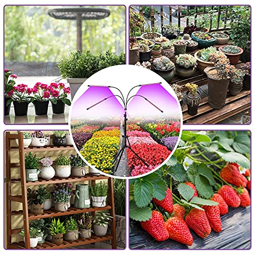 Grow Light, LED Plant Grow Light with Red Blue Spectrum, 15-60 in Adjustable Tripod Stand, 4/8/12H Timer, Remote Control, Plant Light for Vegetables, Greenhouse and Indoor Plants