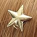 Idealgo 22cm 10pcs Twinkling Star Hair Spins Clip Bride Headwear Edge Clip Hairstyle Styling Tool Hair Pin Accessories (Gold (10pcs))