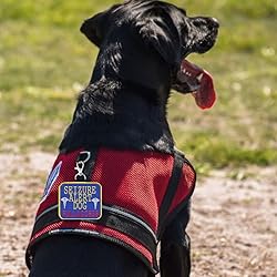 Seizure Alert Dog” Identification Patch Tag