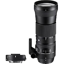 Sigma 150-600mm F5-6.3 Contemporary DG OS HSM & TC-1401 for Canon