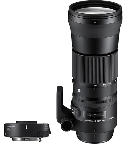 Amazon.com : Tamron SP 150-600mm F/5-6.3 Di VC USD for Canon DSLR