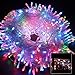 Excelvan Safe Low Voltage 8 Modes 500 LEDs 100M/328FT Dimmable Fairy String Lights with Transparent String for Bedroom Patio Garden Gate Yard Party Wedding Christmas Decoration, Multi Color