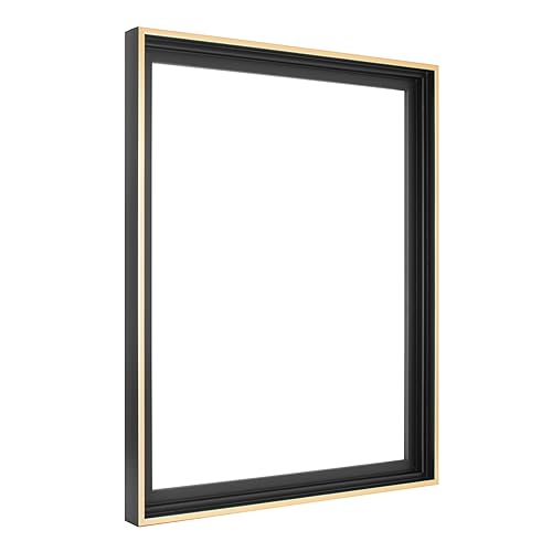 MCS Canvas Float Frames 16x20 Frame, Black & Gold for Finished Canvases, Vertical & Horizontal Wall Hanging Large with Adhesive for Canvas Paintings (1-Pack)