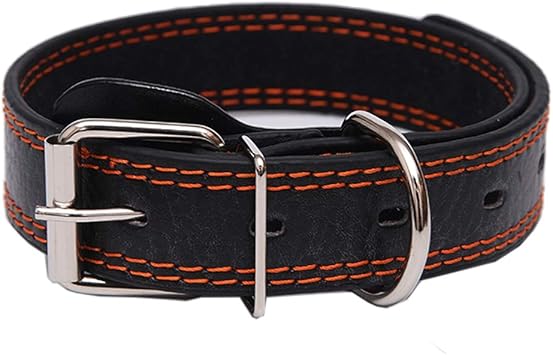 lagotto romagnolo puppies for sale near me