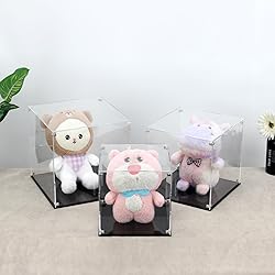 Kcgani Clear Self-Assembly Acrylic Boxes for