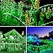 Qedertek Christmas String Lights, 72ft 200 LED Outdoor Decorative Lights, Solar Fairy Lights String Indoor Outdoor Home Garden Party Holiday Decorations Green