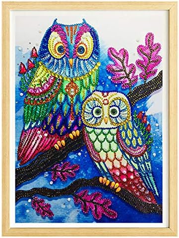 DIY 5D Diamond Painting Vary Partial Drill Kits,DBG Cute Owls Crystal Rhinestone Embroidery Pictures Arts Craft Gift (L)