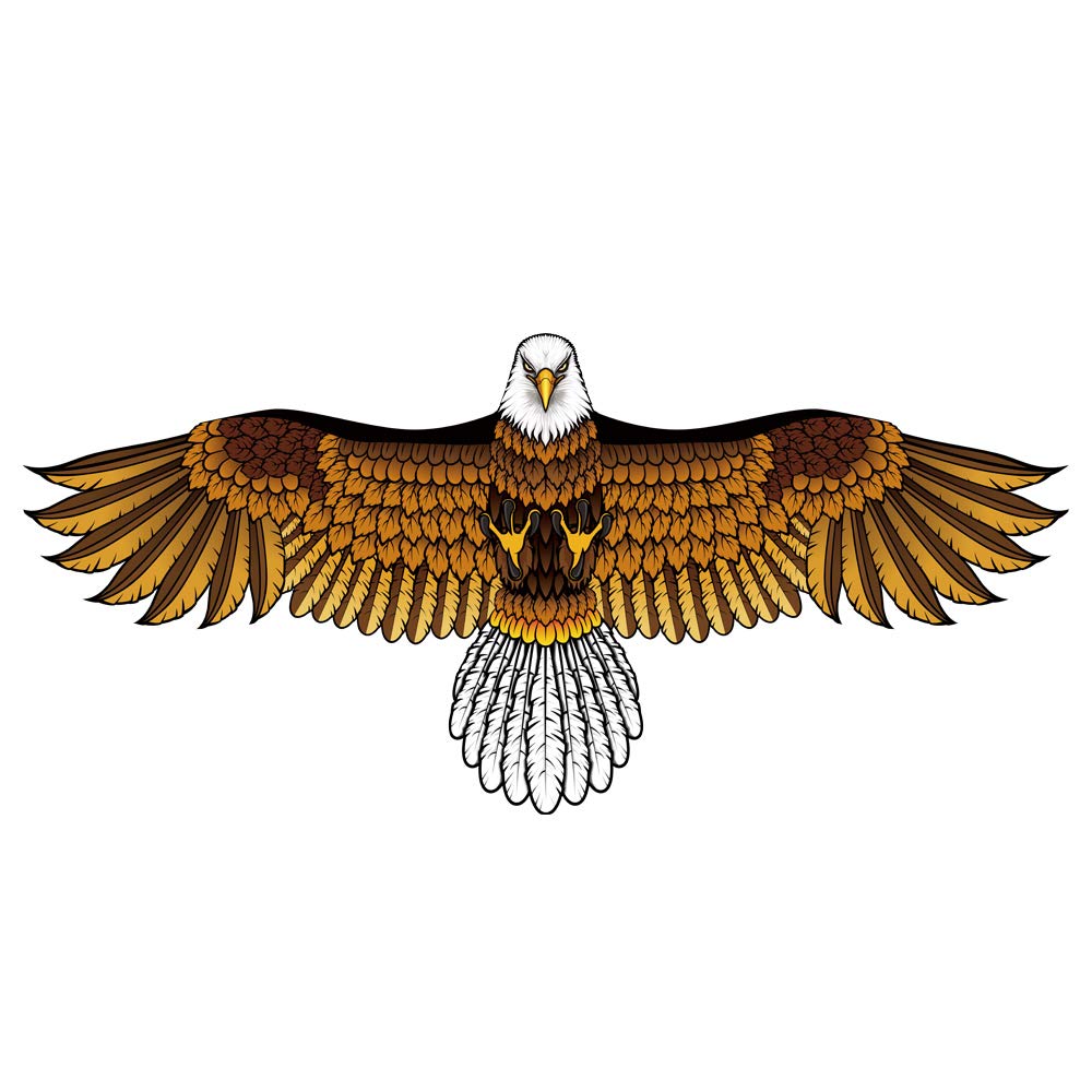 Mint's Colorful Life Eagle Kite for Kids Adults with 60" Wingspan