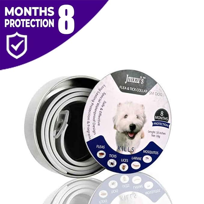 brandon mcmillan dancing with the stars