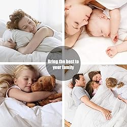 Bunny's Home 100% Egyptian Cotton Sheets Full Size