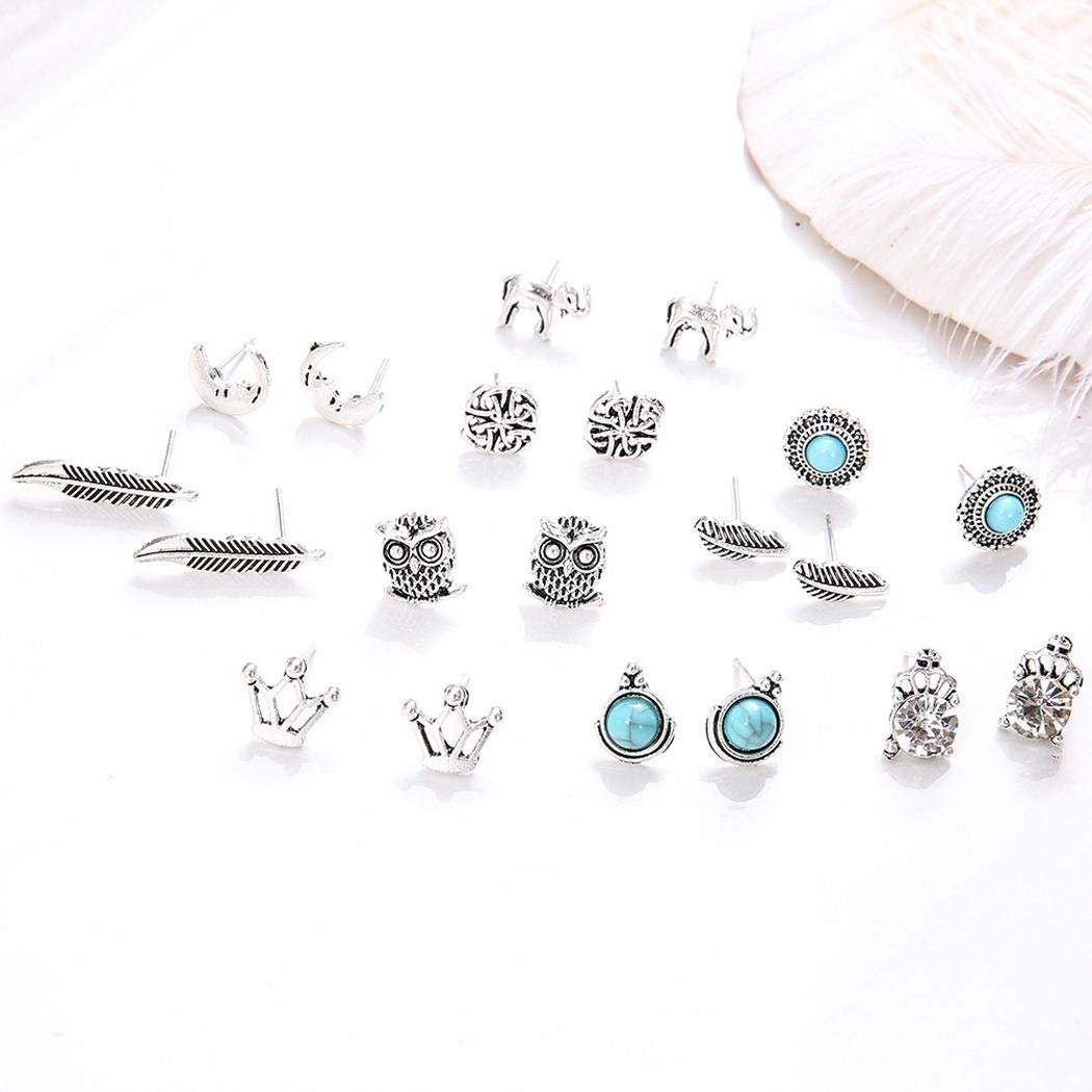 kirken 10 Pair Stud Earrings Crown Leaf Animal Geometric Pierced Earring Set Gift for Women