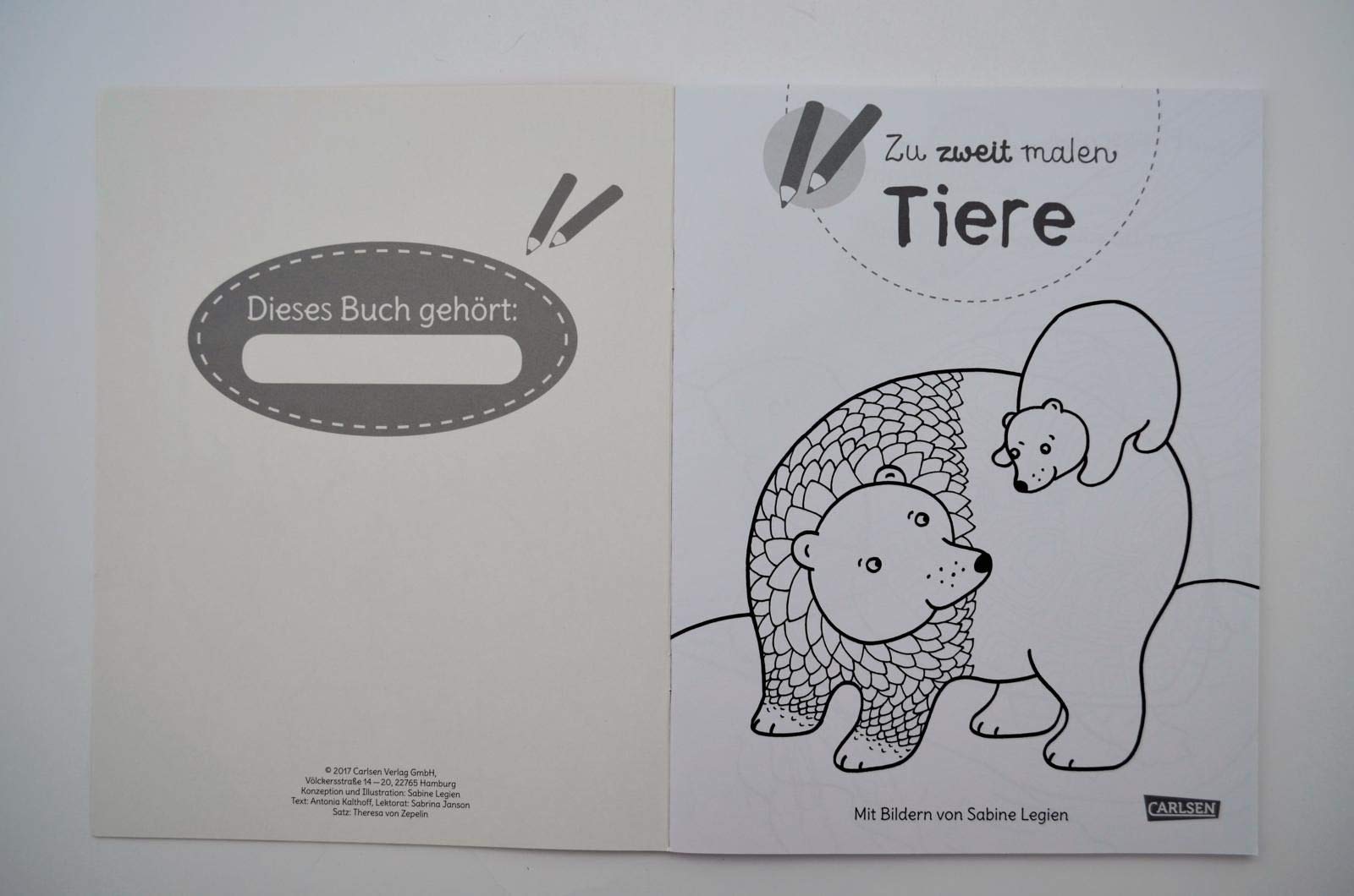 Zu Zweit Malen Tiere Legien Sabine Amazon De Bucher