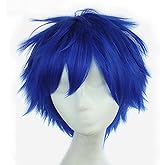 Alibuy 11.8 Inch Dark Blue Short Straight Anime Cosplay Wigs for Men Halloween Party (dark blue)
