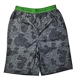 Calvin Klein Little Boys Big Boys Gray Printed Pajama Shorts