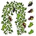 Supla 4.9' Long Artificial Grape Leaf Garland Hanging Ivy Garland Ivy Leaf Greenery Vines Garland with Assorted Grapes for Winery Events Wedding Decoration
