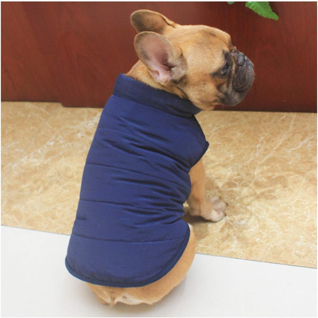 bulldog clothes brand