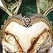 ZjpMask Green Full Face Venetian Jester Mask Masquerade Mardi Gras Wall Decorative Art Collection