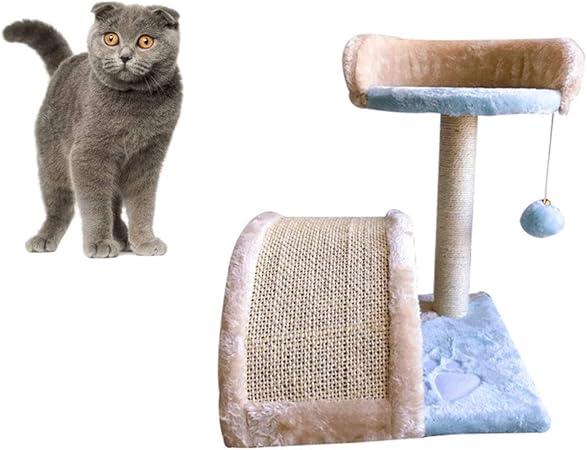 cat climbing tree amazon