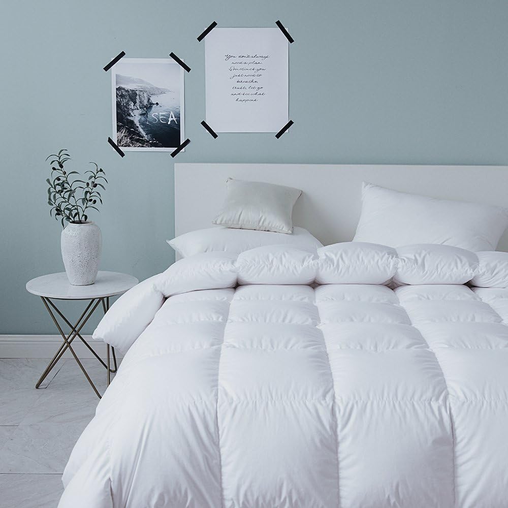 Amazon Com Warmkiss White Lavender Scented Down Comforter 400 Tc