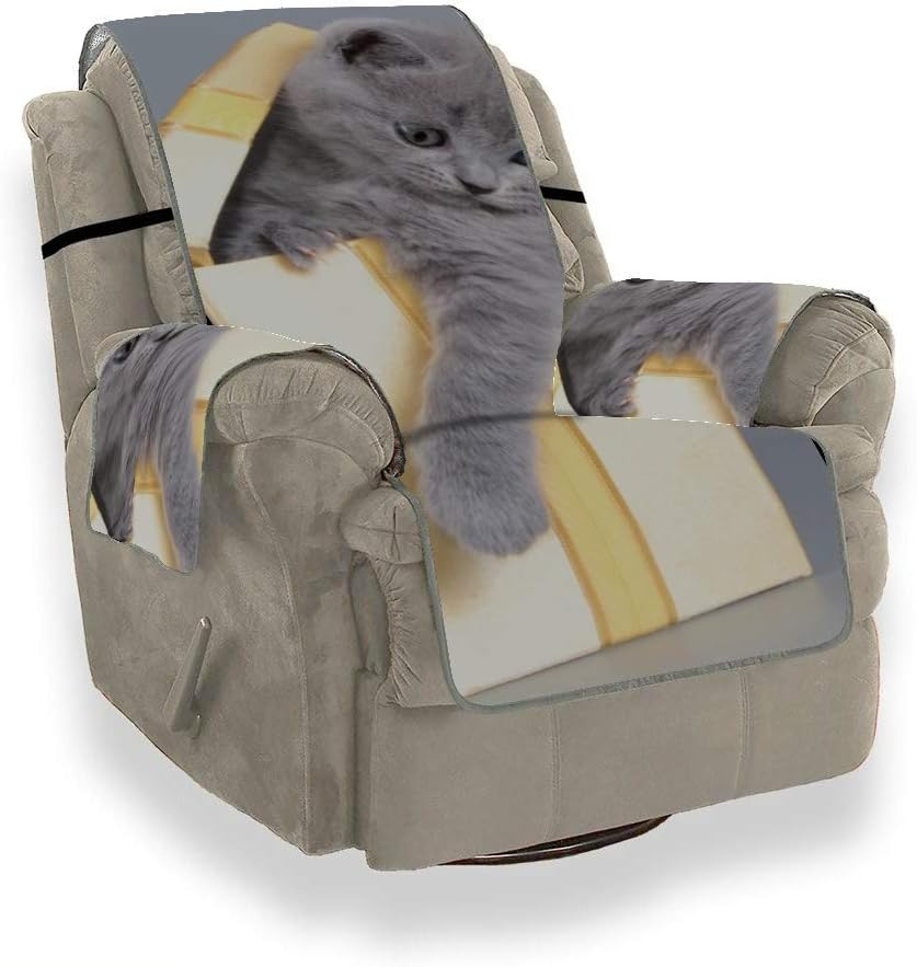 IIAKXNB Cute Cat Animal with Box Recliner Sectional Sofa