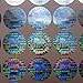 100 Round Bright Silver Hologram Sequentially Numbered Tamper Evident Security Labels/Stickers