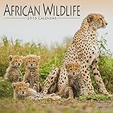 African Wildlife Calendar - 2016 Wall calendars - Animal Calendar - Monthly Wall Calendar by Avonside