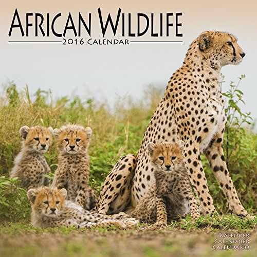 African Wildlife Calendar 2016 Wall Calendars Animal