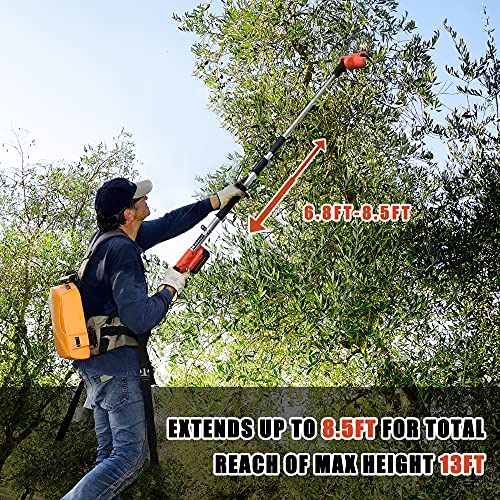 Voltask Cordless Pole Saw, 20V 8Inch Telescoping Electric Pole Saw