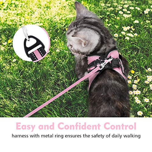 rabbitgoo Cat Harness and Leash Set for Walking Escape Proof