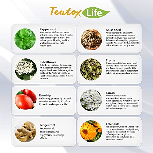 Elderberry Flower Tea with Calendula, Yarrow, Rosehip, Thyme