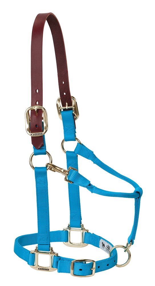 Weaver Leather Nylon Adjustable Breakaway Horse Halter, Yearling, Hurricane Blue