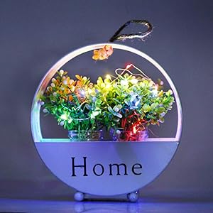Rustic Wall Hanging Pots with LED Strip Lights for Christmas Holiday Decorative Mason Jar Flower Containers White Metal Hanging Flower Planter Rustic Wall Décor
